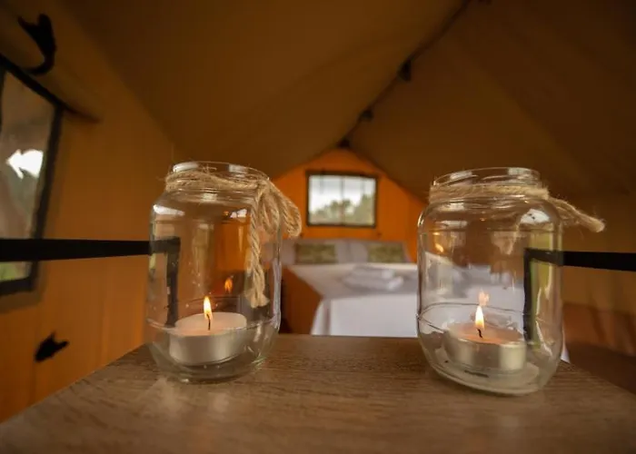 Glamping Vall De Codo Οργανωμένο κάμπινγκ